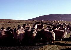 1975 UK Yorkshire Dales 014